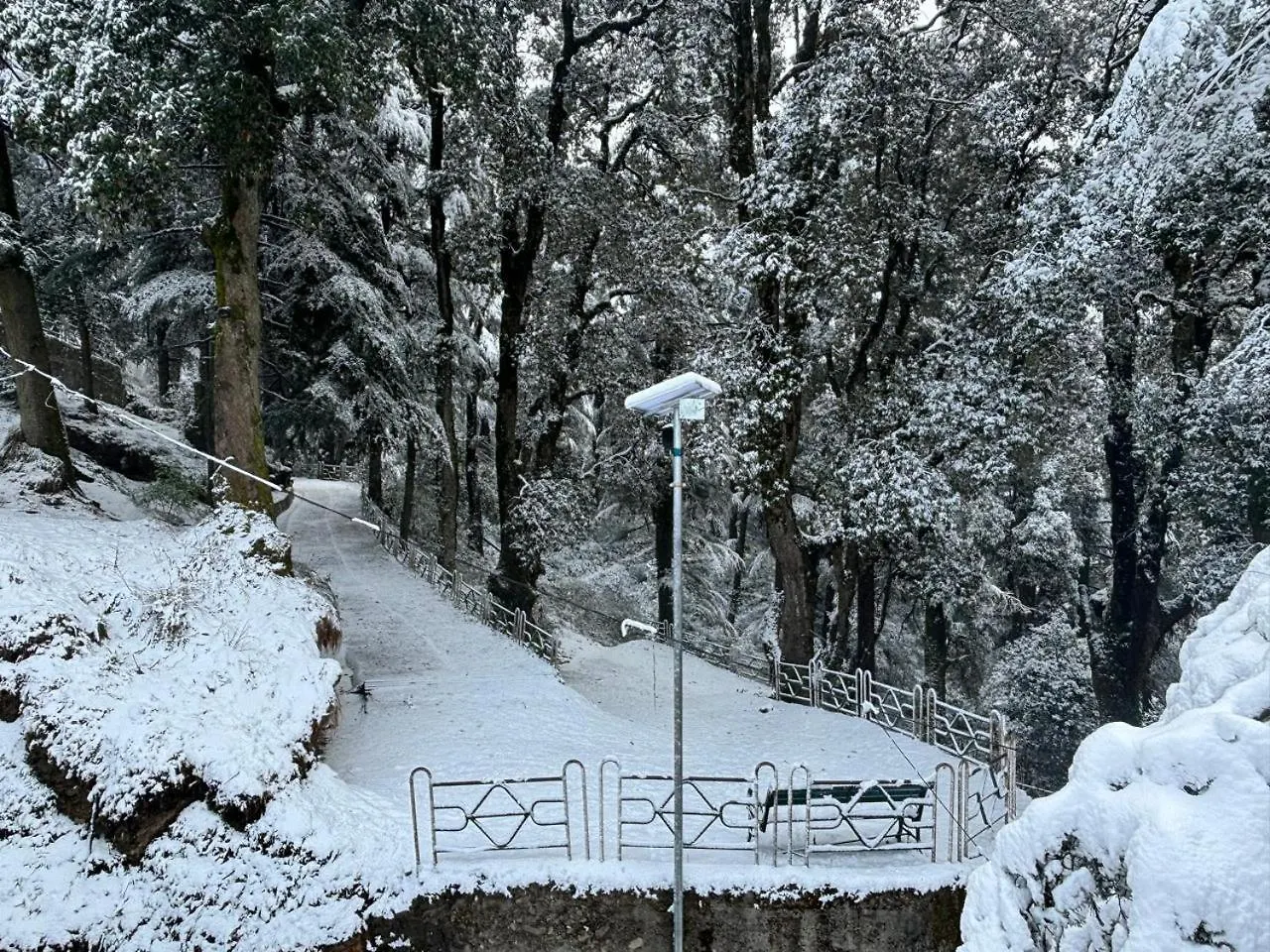 Hotel Jakhu Heights Shimla