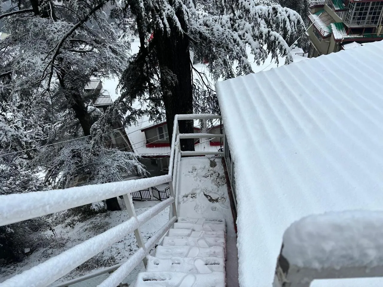 Hotel Jakhu Heights Shimla