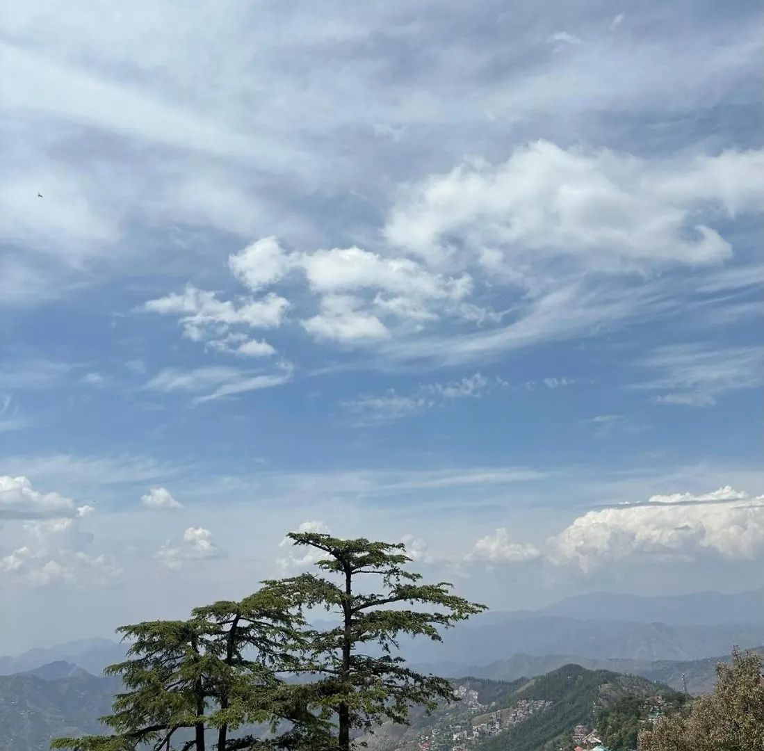 Hotel Jakhu Heights Shimla 3*,